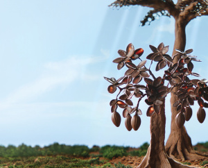 GHC Ghana Shade Tree Planting