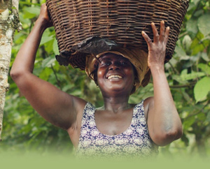 A cocoa farmer from Ghana carrying a basket of cocoa pods on her head