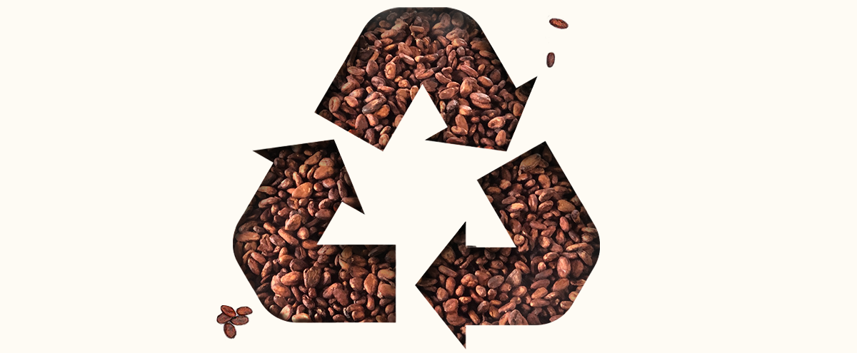 Recycle symbol made out of cocoa beans for article banner
