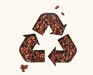 Recycle symbol made out of cocoa beans for related content